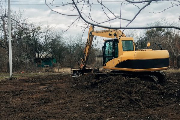 Excavator uprooting trees on land in countryside. Bulldozer clearing land from old trees, roots and branches with dirt and trash. Backhoe machinery. Yard work