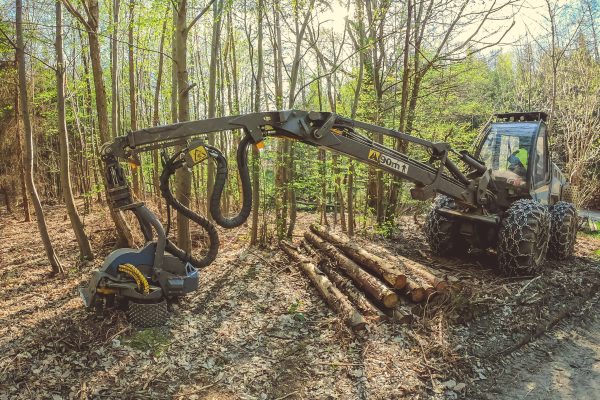 woodworking in the forest. cleaning fallen trees after a strong wind. heavy technique working in the forest. forest industry